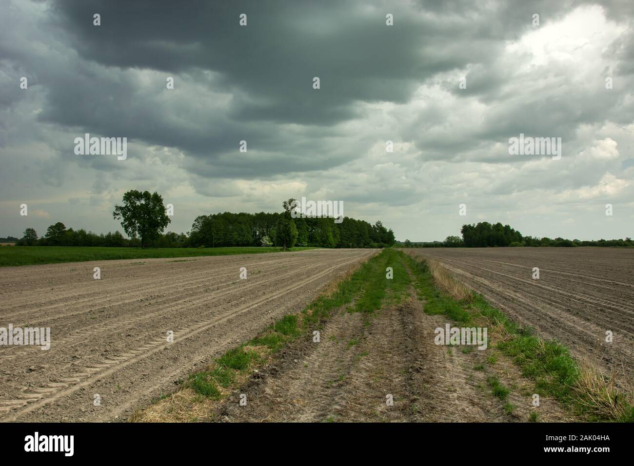 Sombres nuages orageux, des arbres et une route à travers un champ labouré Banque D'Images Sombres nuages orageux, des arbres et une route à travers un champ labouré Banque D'Images
