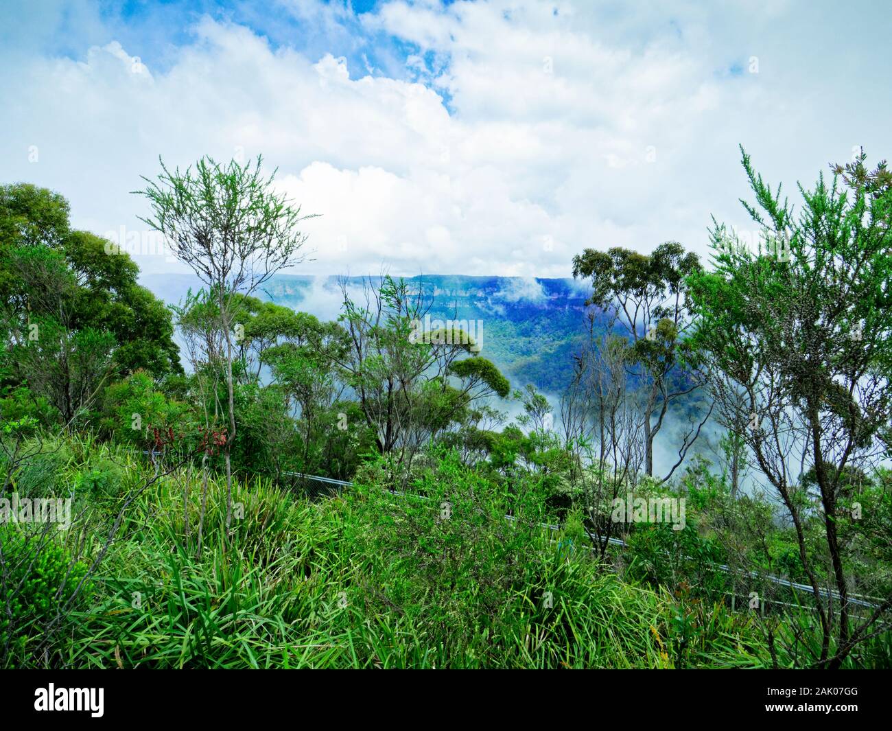 Clearing mist dans la vallée de la Parc National de Blue Mountains, Katoomba, New South Wales, Australie Banque D'Images