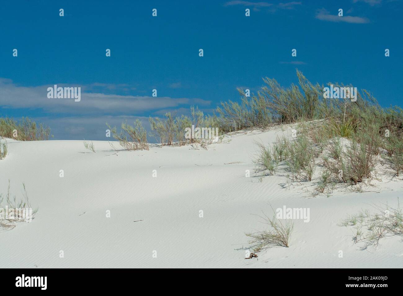Les dunes de sable blanc étincelant au White Sands National Park dans le Nouveau-Mexique sont constituées essentiellement de la minéral gypse. Banque D'Images