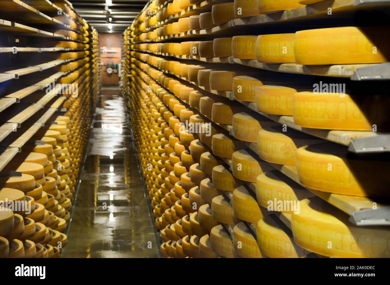 Gruyères, Suisse - le 27 juillet 2019 : les roues de fromage venant à échéance dans la cave de stockage la célèbre fabrique de fromage Suisse La Maison du Gruyère. Le vieillissement du fromage. Selective focus, en partie floue. Banque D'Images