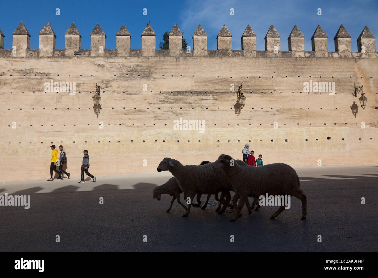 Piétons et troupeau de moutons dans paysage de pisé crénelée murs de ville dans la zone de Bab Mechouar et Bab Dekkakin à Fes (fez), Maroc Banque D'Images