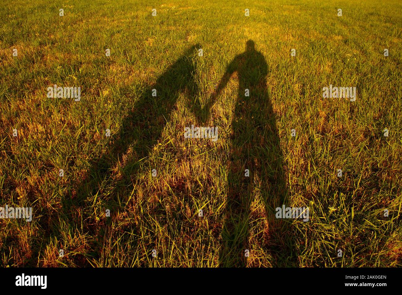 silhouette d'ombre d'un couple tenant les mains sur la prairie au coucher du soleil d'automne Banque D'Images