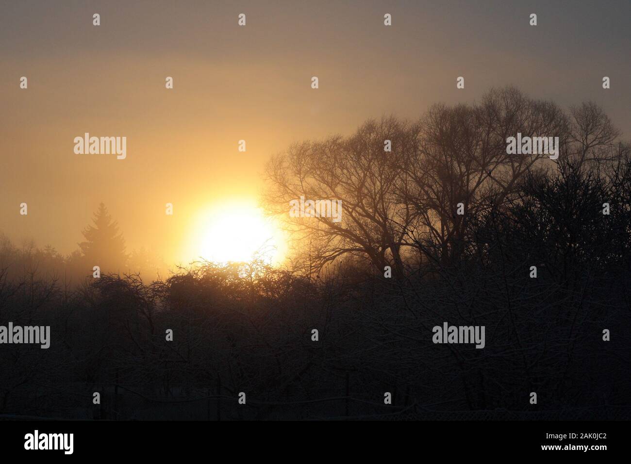Lever de soleil atmosphérique Misty dans la nature avec des arbres Banque D'Images