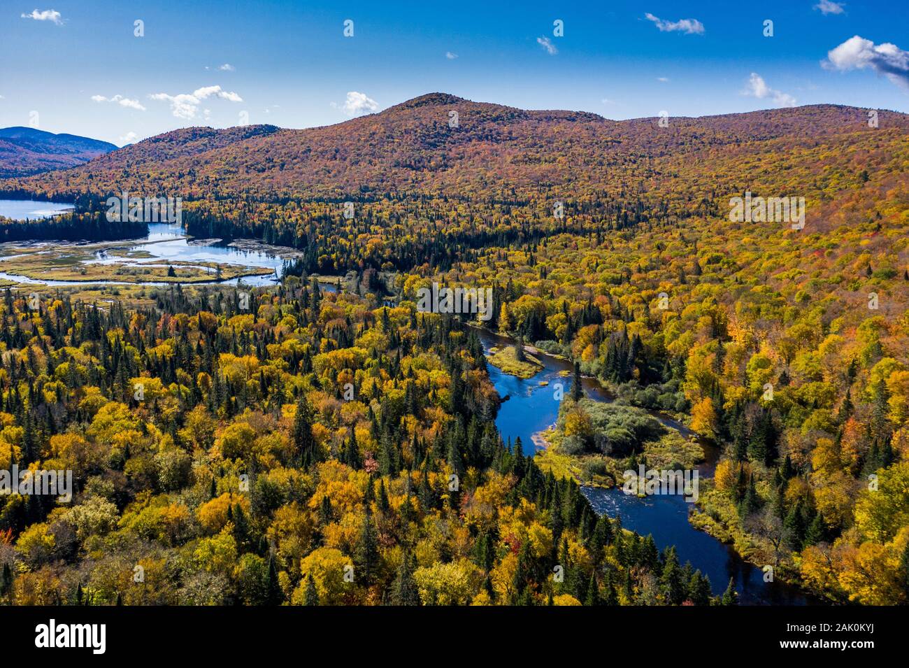 Vue aérienne d'une forêt d'automne et le lac. Banque D'Images