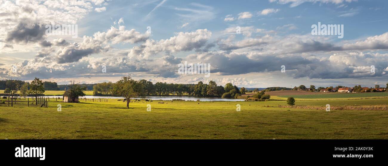 paysage avec ciel bleu et nuages - panorama de la campagne rurale avec étang, pâturage avec bétail et arbres, dans le ciel d'arrière-plan avec belle merde Banque D'Images