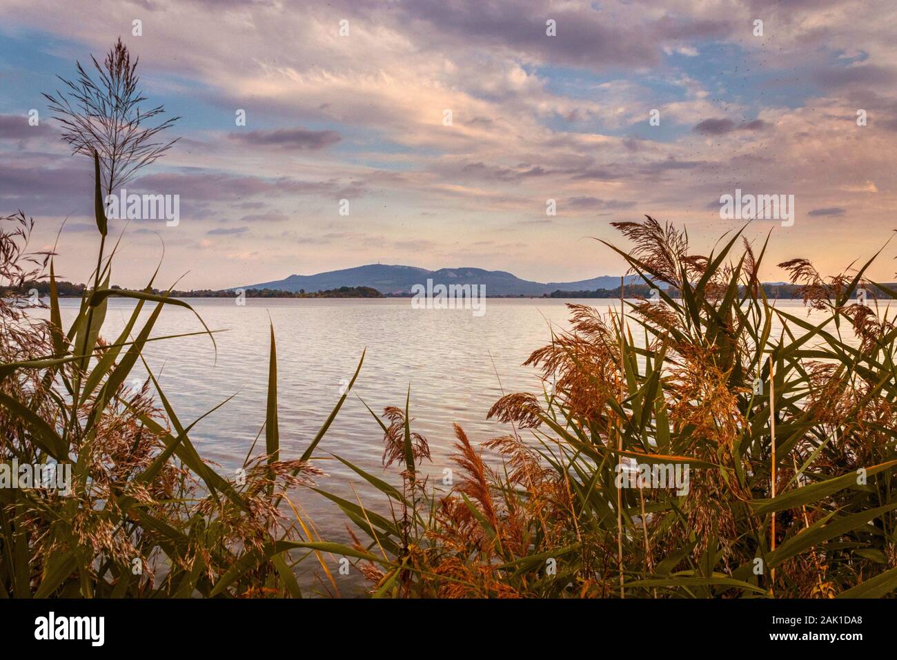 Lake avec l'herbe au premier plan, à l'horizon le coucher du soleil, les collines de Pavlov, Palava Banque D'Images