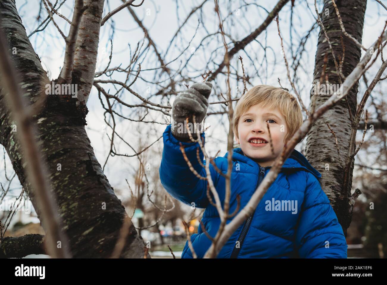Un petit garçon monte dans un arbre. Banque D'Images