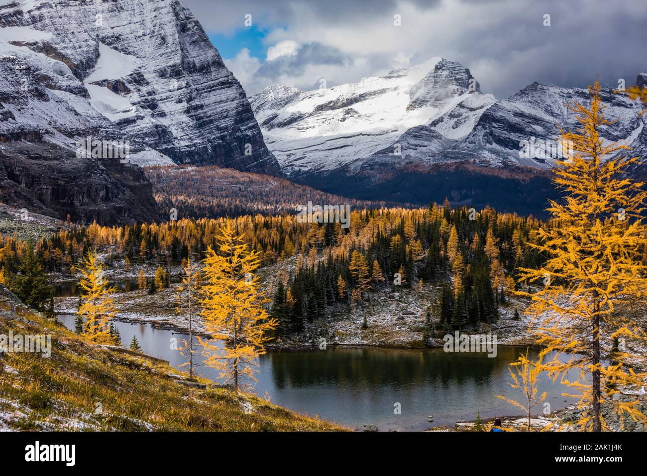 Avec le Lac de montagne Odaray Hungabee dans la distance en septembre dans le parc national Yoho, Colombie-Britannique, Canada Banque D'Images