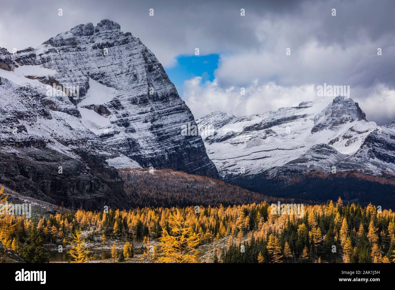 Montagne Odaray vu depuis le plateau Opabin, au-dessus du lac O'Hara, en septembre, dans le parc national Yoho, Colombie-Britannique, Canada Banque D'Images