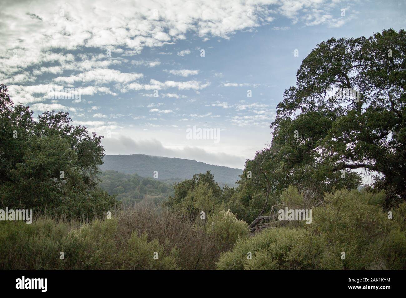 Vue depuis le sentier de randonnée du New Almaden Quicksilver Mine County Park, près de San Jose, Californie. Banque D'Images