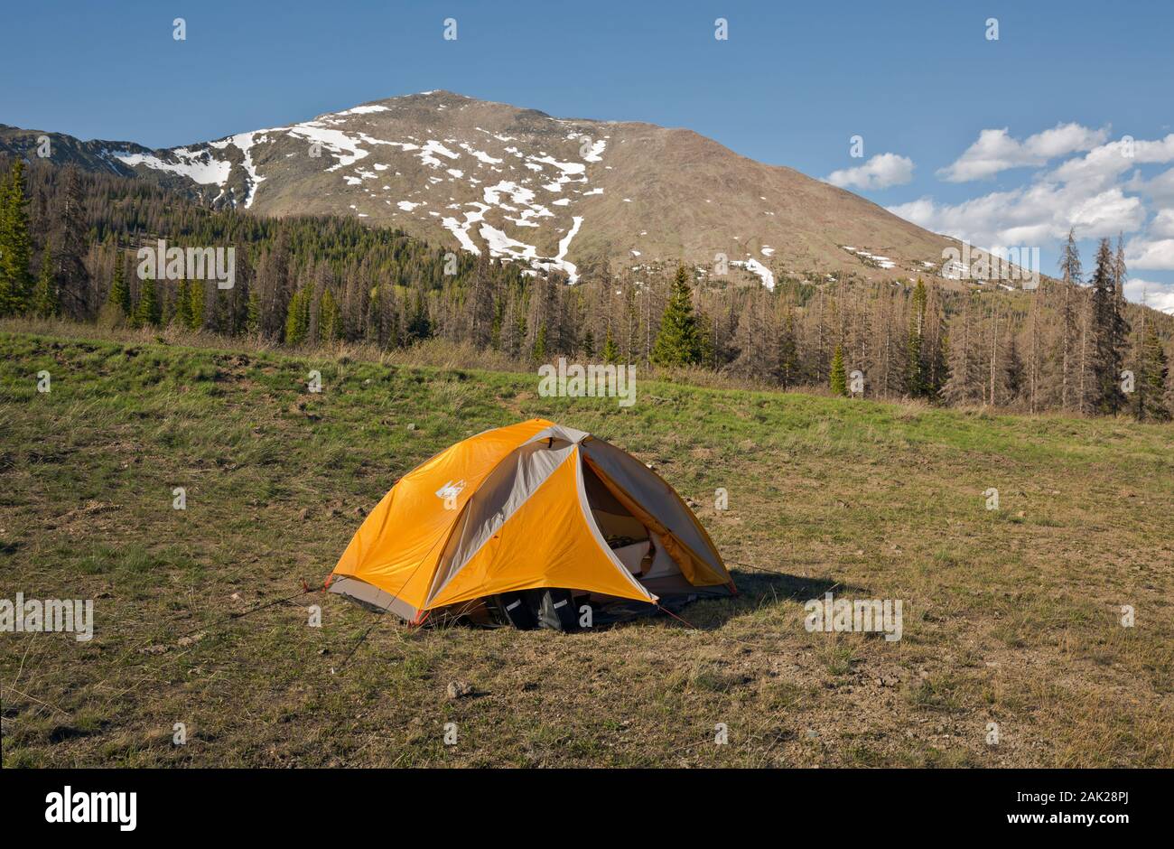CO00170-00...COLORADO - Emplacement de tente sur une parcelle de terrain au bord d'un grand pré sur le côté nord de la Marshall San Isabel Fores National Banque D'Images