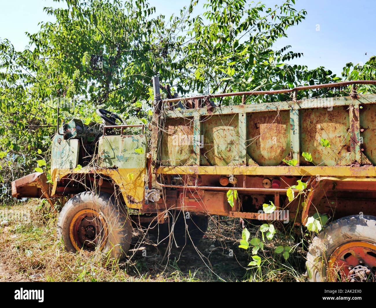 Chariot oublié dans la jungle Banque D'Images
