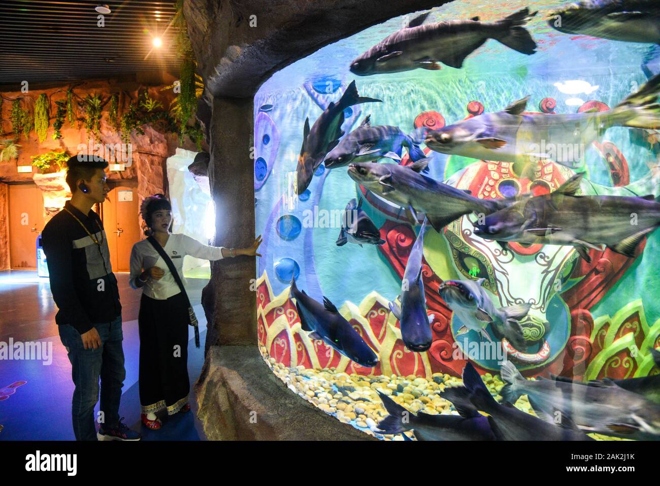 Yunnan, Yunnan, Chine. Jan 7, 2020. Yunnan, Chine-Le 6 janvier 2020, le premier aquarium de poissons d'eau douce le long de la rivière du Mékong a ouvert ses portes à Xishuangbanna, province du Yunnan. Crédit : SIPA Asie/ZUMA/Alamy Fil Live News Banque D'Images