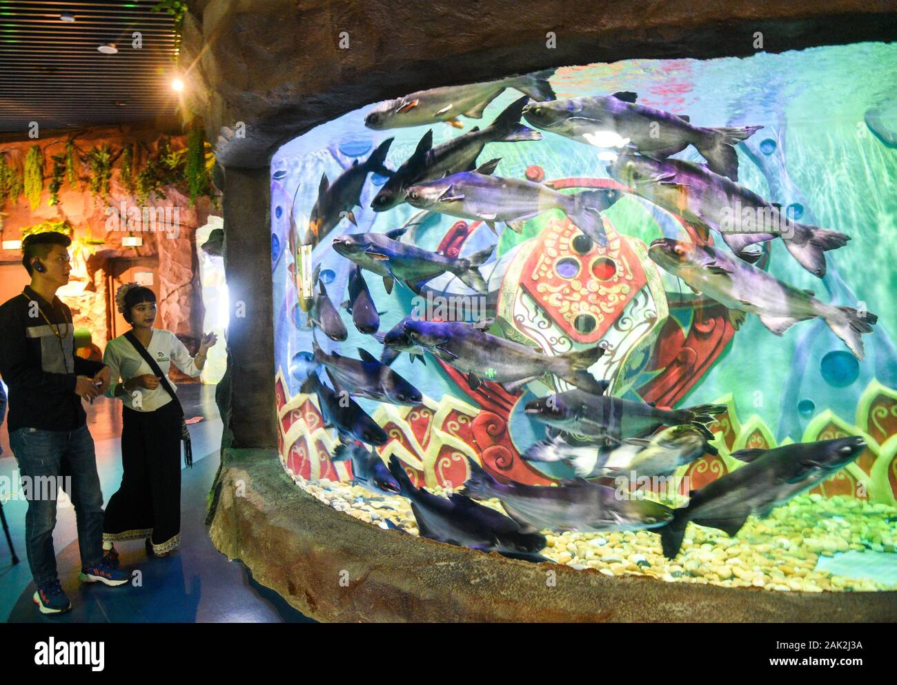 Yunnan, Yunnan, Chine. Jan 7, 2020. Yunnan, Chine-Le 6 janvier 2020, le premier aquarium de poissons d'eau douce le long de la rivière du Mékong a ouvert ses portes à Xishuangbanna, province du Yunnan. Crédit : SIPA Asie/ZUMA/Alamy Fil Live News Banque D'Images