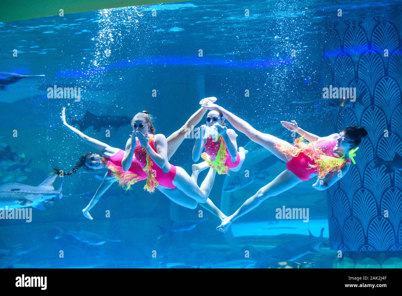 Yunnan, Yunnan, Chine. Jan 7, 2020. Yunnan, Chine-Le 6 janvier 2020, le premier aquarium de poissons d'eau douce le long de la rivière du Mékong a ouvert ses portes à Xishuangbanna, province du Yunnan. Crédit : SIPA Asie/ZUMA/Alamy Fil Live News Banque D'Images