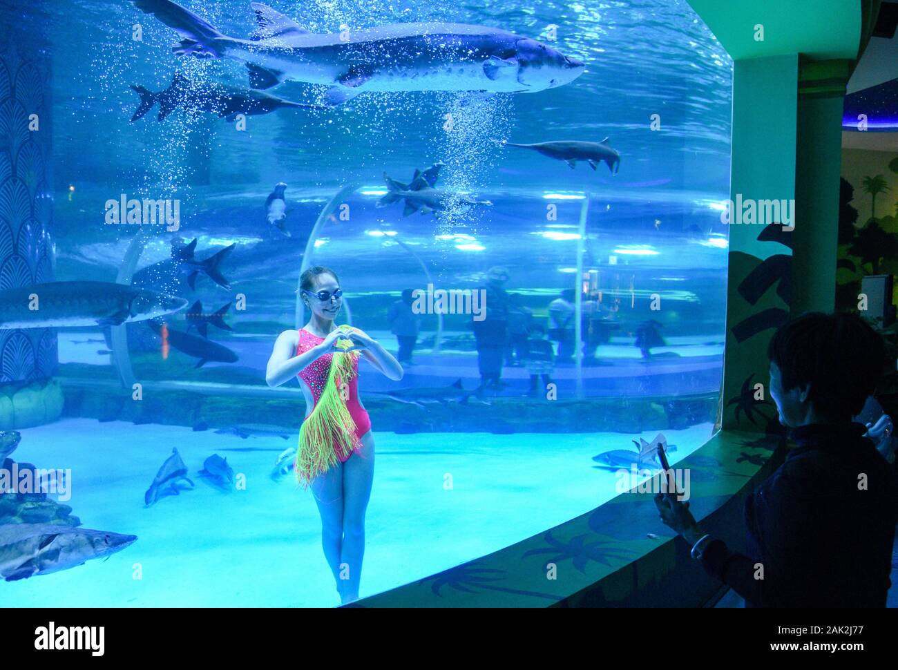 Yunnan, Yunnan, Chine. Jan 7, 2020. Yunnan, Chine-Le 6 janvier 2020, le premier aquarium de poissons d'eau douce le long de la rivière du Mékong a ouvert ses portes à Xishuangbanna, province du Yunnan. Crédit : SIPA Asie/ZUMA/Alamy Fil Live News Banque D'Images