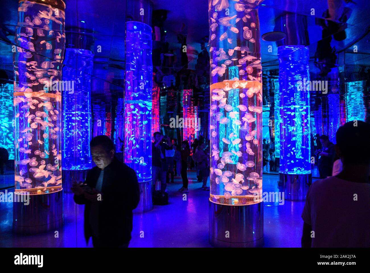 Yunnan, Yunnan, Chine. Jan 7, 2020. Yunnan, Chine-Le 6 janvier 2020, le premier aquarium de poissons d'eau douce le long de la rivière du Mékong a ouvert ses portes à Xishuangbanna, province du Yunnan. Crédit : SIPA Asie/ZUMA/Alamy Fil Live News Banque D'Images
