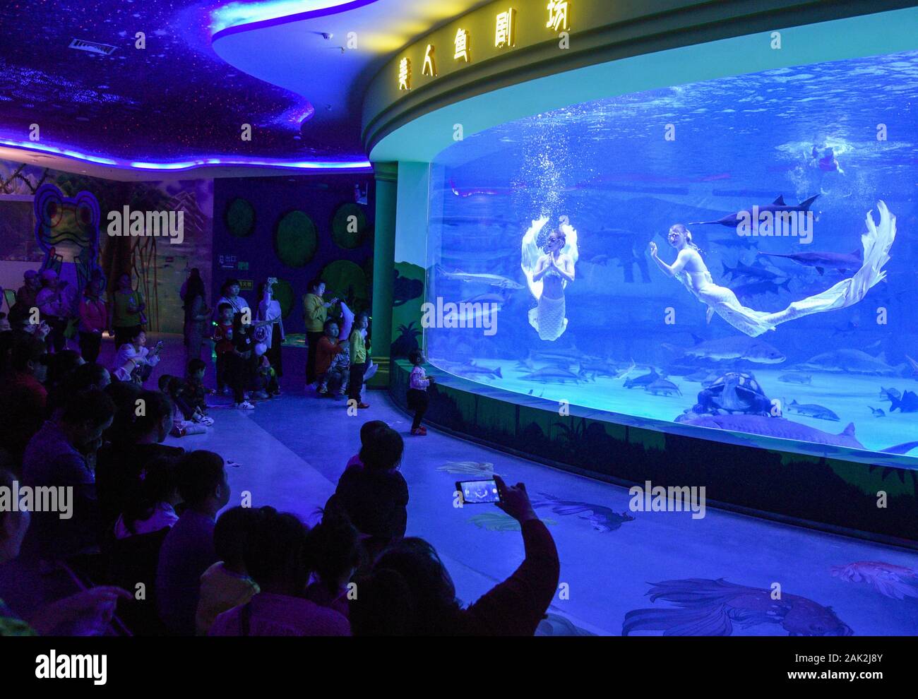 Yunnan, Yunnan, Chine. Jan 7, 2020. Yunnan, Chine-Le 6 janvier 2020, le premier aquarium de poissons d'eau douce le long de la rivière du Mékong a ouvert ses portes à Xishuangbanna, province du Yunnan. Crédit : SIPA Asie/ZUMA/Alamy Fil Live News Banque D'Images