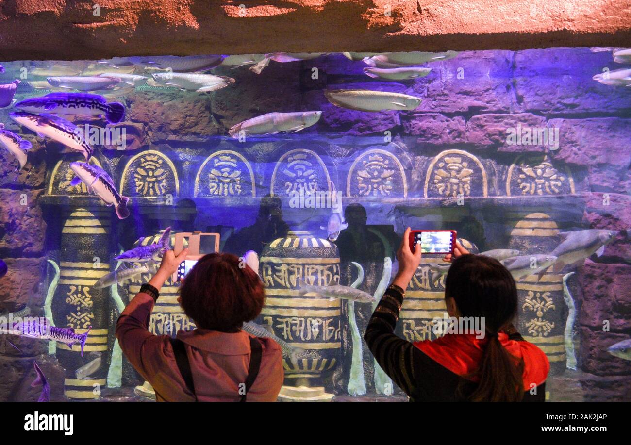 Yunnan, Yunnan, Chine. Jan 7, 2020. Yunnan, Chine-Le 6 janvier 2020, le premier aquarium de poissons d'eau douce le long de la rivière du Mékong a ouvert ses portes à Xishuangbanna, province du Yunnan. Crédit : SIPA Asie/ZUMA/Alamy Fil Live News Banque D'Images