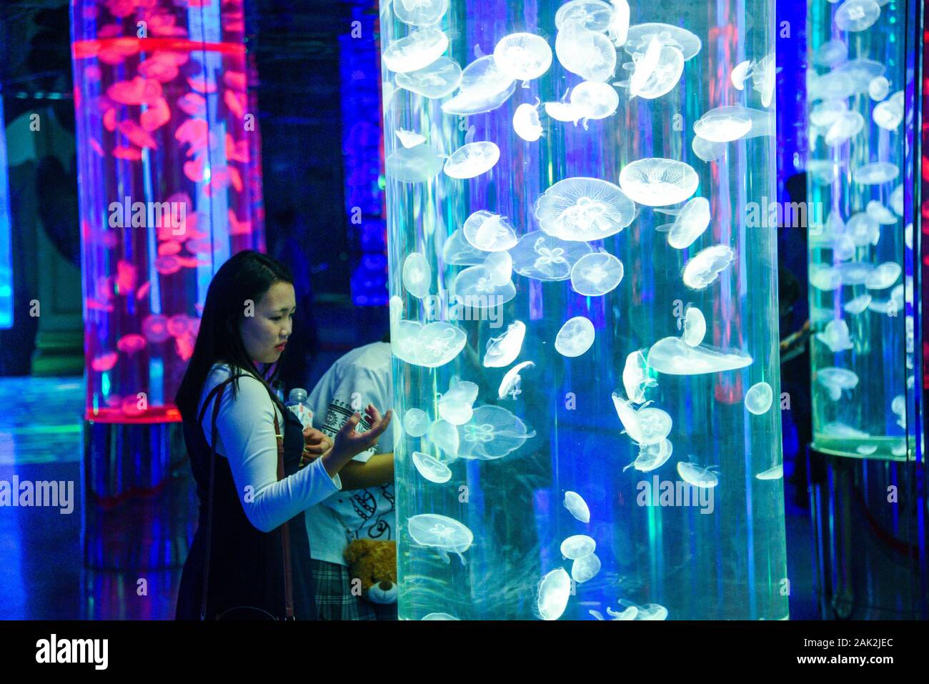 Yunnan, Yunnan, Chine. Jan 7, 2020. Yunnan, Chine-Le 6 janvier 2020, le premier aquarium de poissons d'eau douce le long de la rivière du Mékong a ouvert ses portes à Xishuangbanna, province du Yunnan. Crédit : SIPA Asie/ZUMA/Alamy Fil Live News Banque D'Images