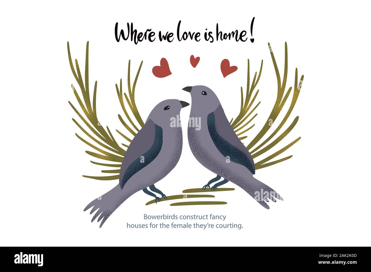 Happy Valentine Day Texture Vecteur Animal Oiseau Carte Dans Un Style Plat Avec Citation Et Vrais Faits Sur L Amour Couple D Oiseaux Romantique Illustration Image Vectorielle Stock Alamy