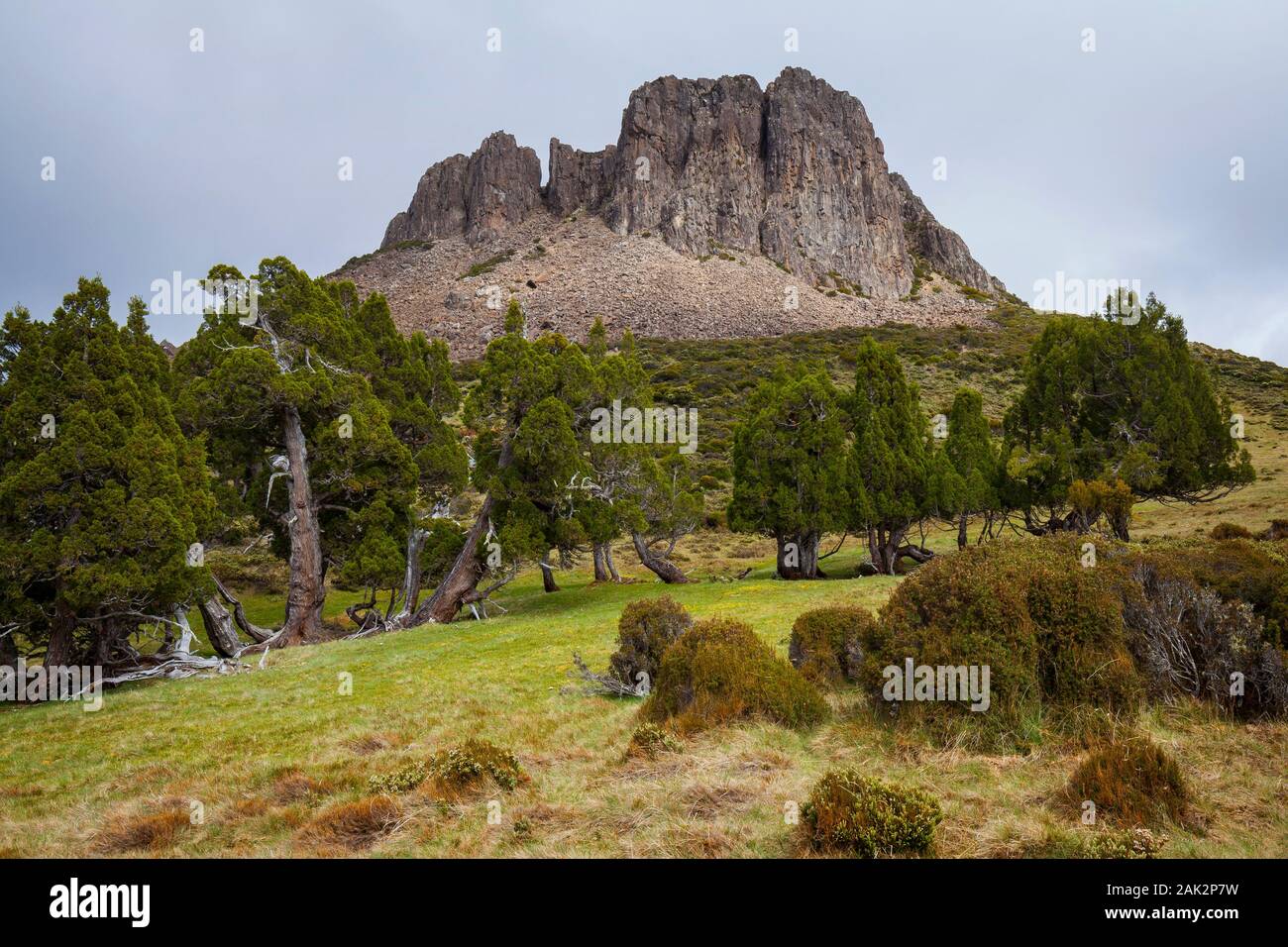 Trône de Salomon et de crayon Pines - murs de Jérusalem Nat. Park - Tasmanie Banque D'Images