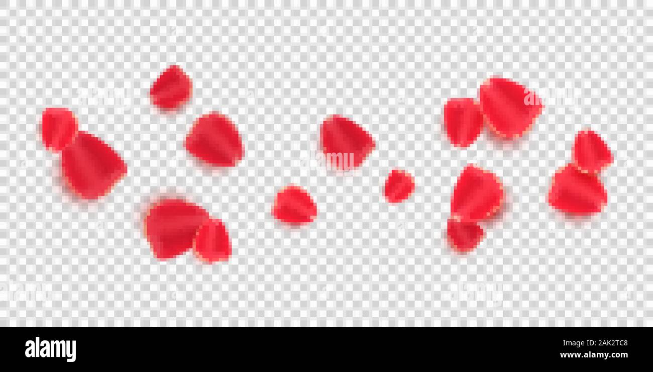 Pétales de rose rouge épars isolé sur fond transparent. Le jour de la Saint-Valentin. Fleurs romantique pour la Saint Valentin ou un mariage. Vector illustration. E Illustration de Vecteur