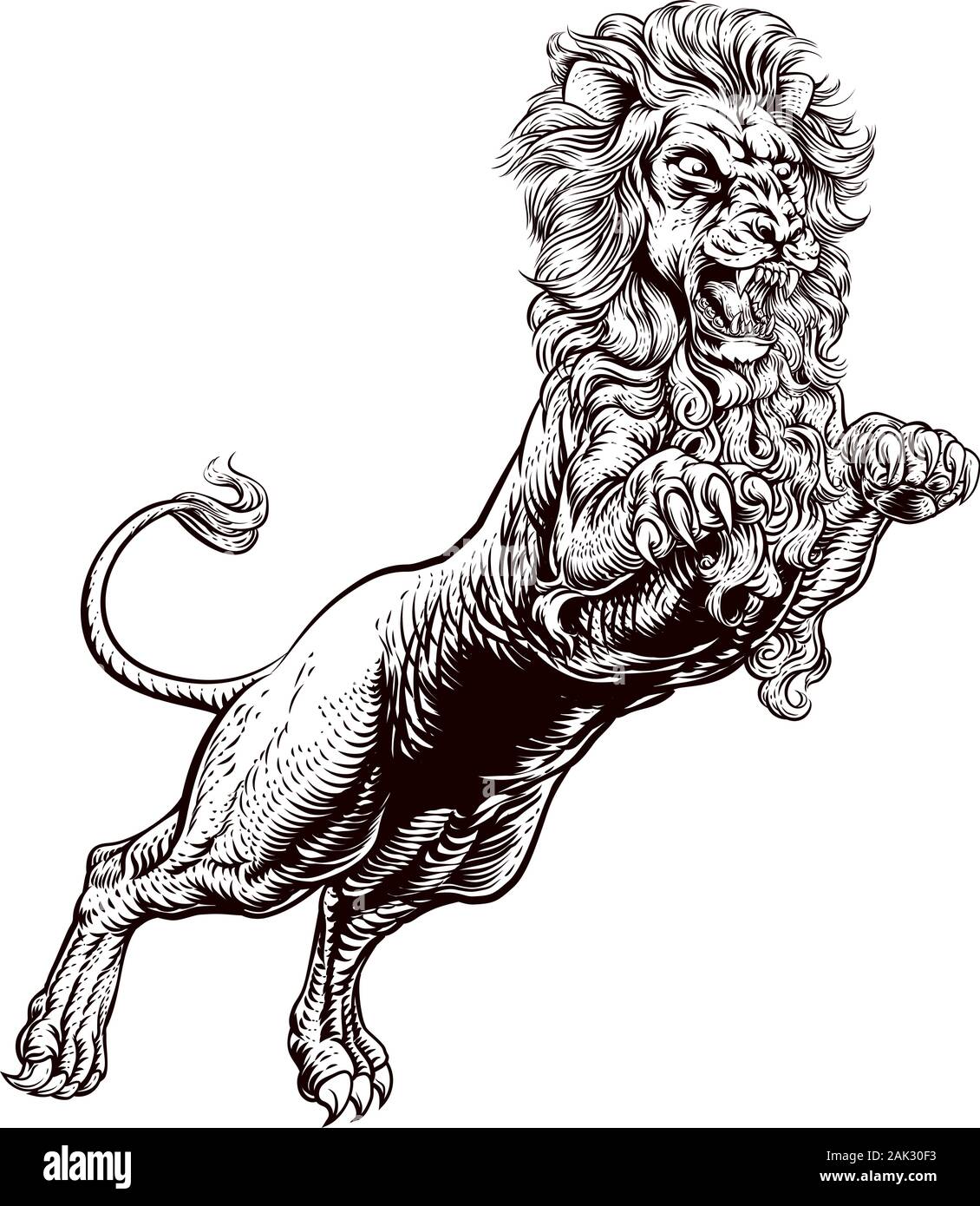 Illustration attaque Lion Illustration de Vecteur