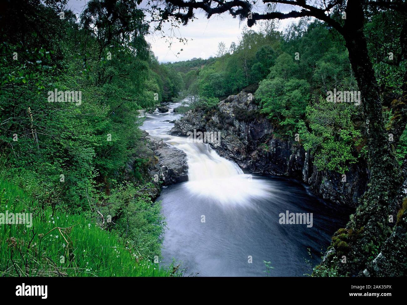 Dans la rivière des cascades pittoresques Shin s'engouffre dans les roches de l'arrière-pays de Dornoch. Les chutes de Shin sont situées dans la région de Highlands Scotish Banque D'Images