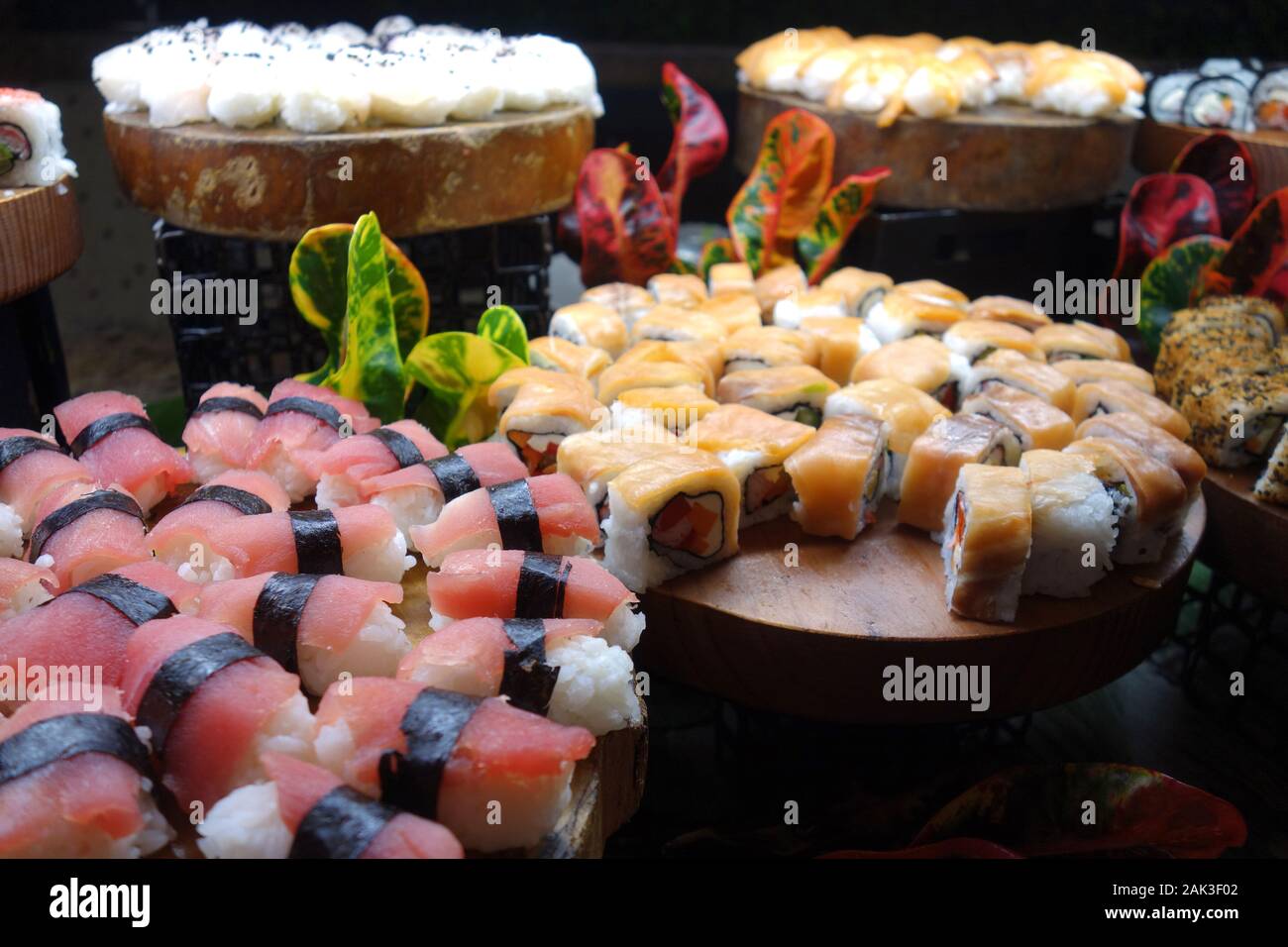 Tranches de poisson cru Japonais Sushi Makizushi sur l'affichage dans le buffet à l'Azul Beach Resort Hotel, Puerto Morelos, Riviera Maya, Cancun, Mexique. Banque D'Images