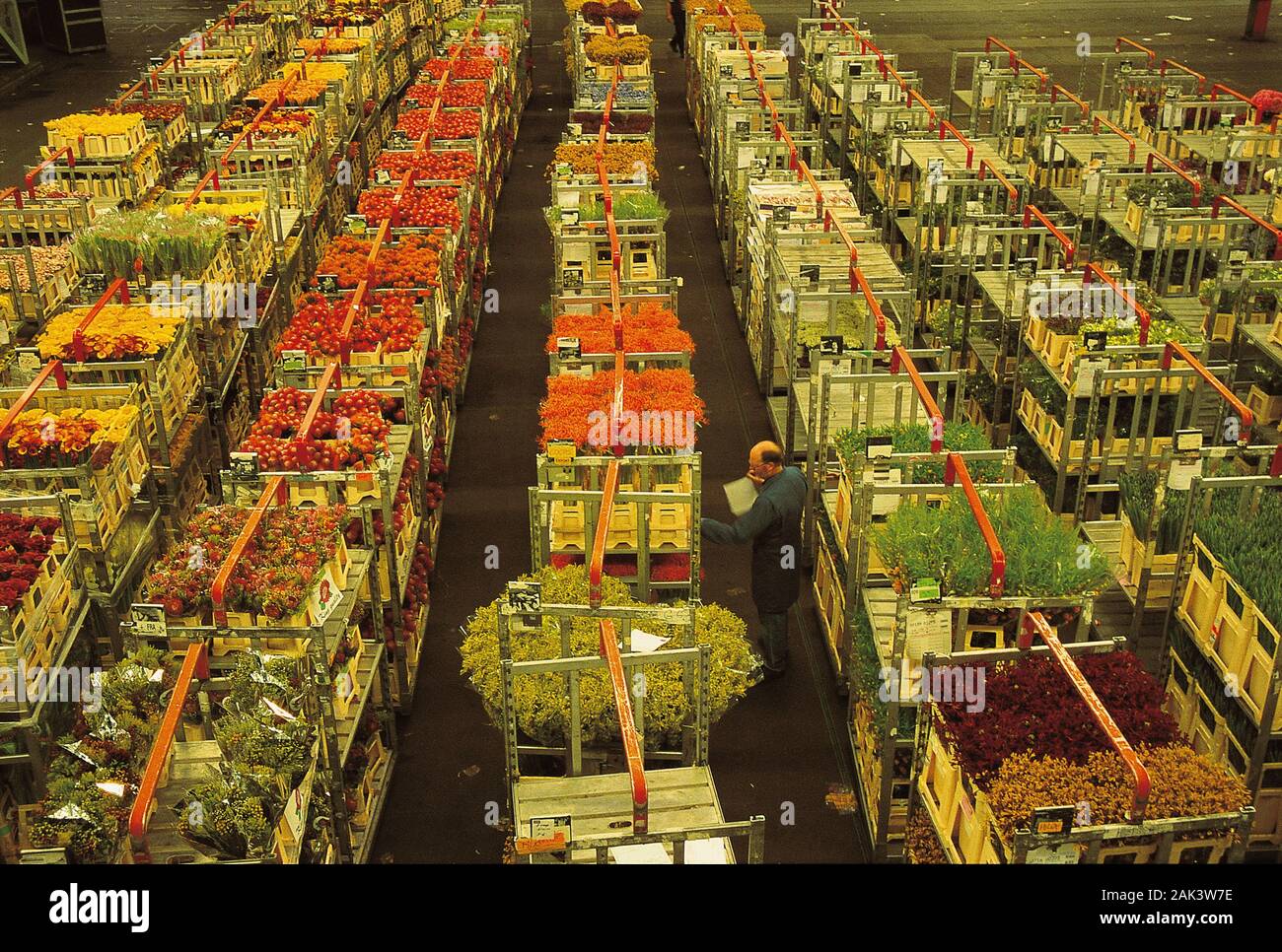 Vu l'énorme fleur journal à la Bourse aux fleurs d'Aalsmeer, aux Pays-Bas. Aalsmeer est située dans le sud-ouest d'Amsterdam, à la Banque D'Images