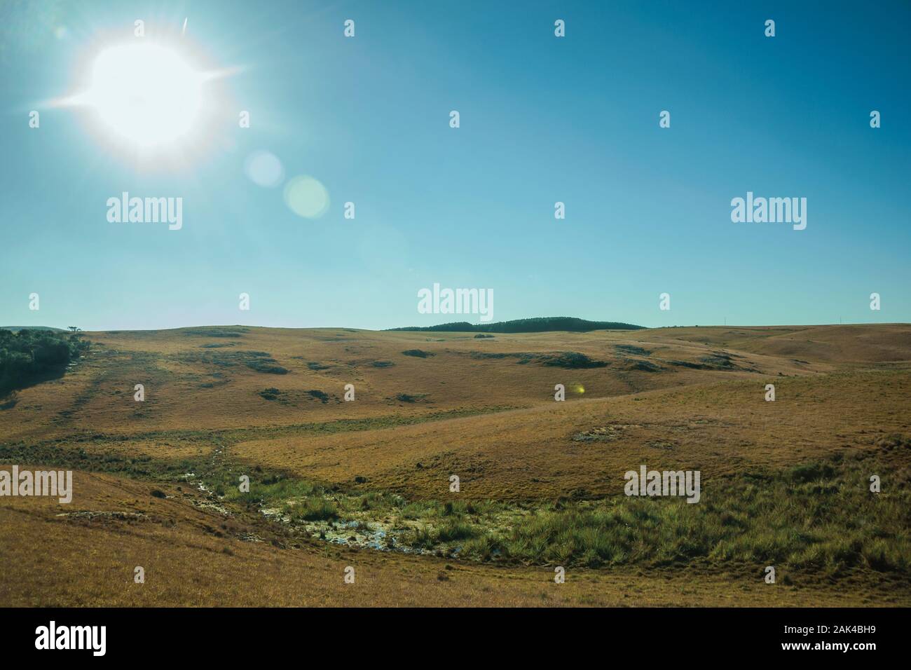 Plaine de la pampa Banque de photographies et d’images à haute