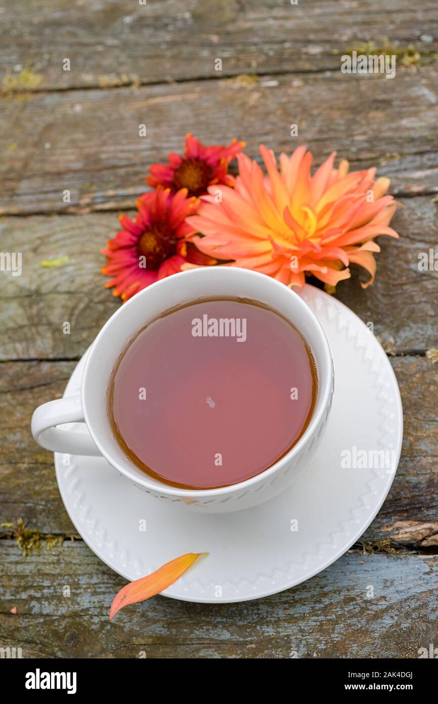 Une tasse de thé avec un dahlia et gaillardia fleur. Banque D'Images