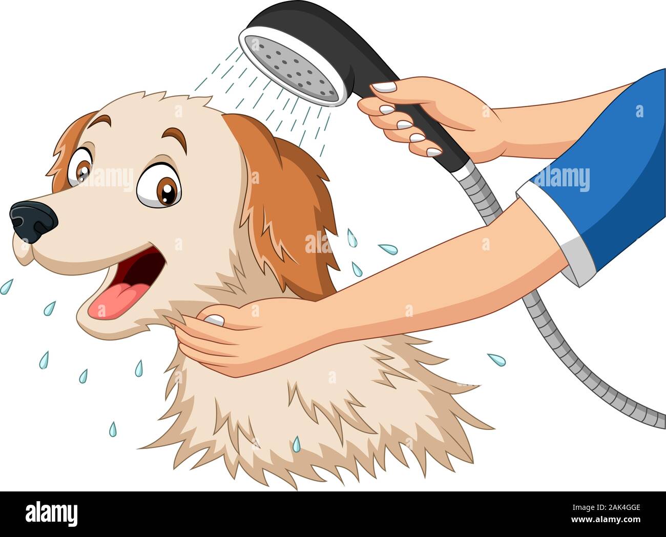 Bain avec douche chien dessin animé Illustration de Vecteur