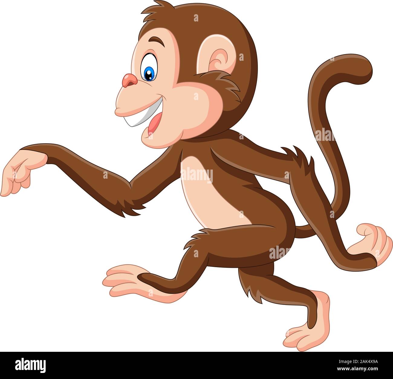 Cartoon funny monkey marche sur fond blanc Illustration de Vecteur