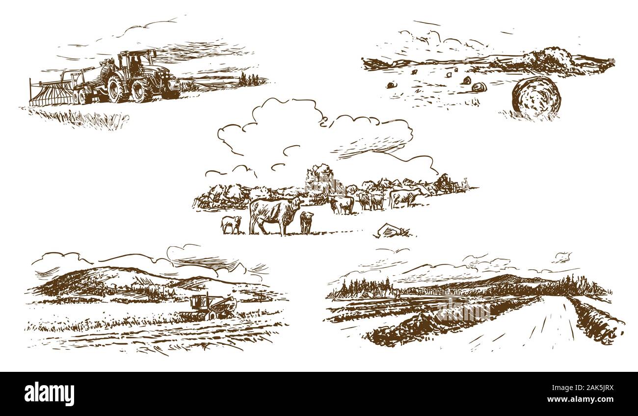 Paysage de campagne agricole, l'ensemble des illustrations dessinées à la main (vecteur) Illustration de Vecteur