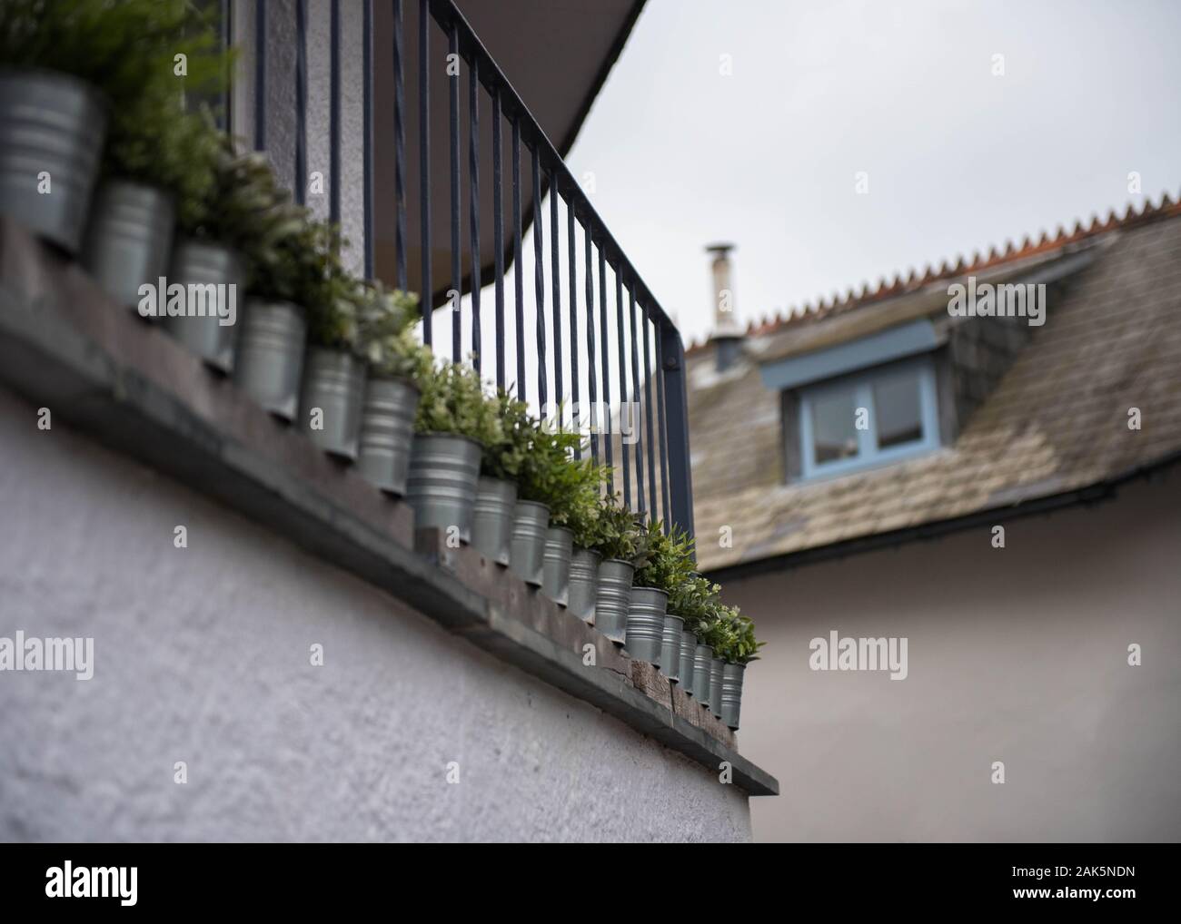 Plantes décoratives sur balcon dans le village de Cawsand à Cornwall, une journée britannique trouble Banque D'Images