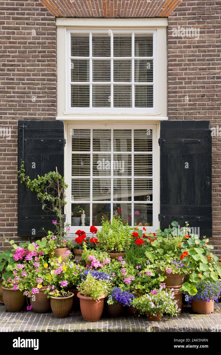 Dans Weduwen-Hofje Huys-Zitten Karthuizerstraat-der : Blumenfenster Innhof gi, Amsterdam | dans le monde d'utilisation Banque D'Images