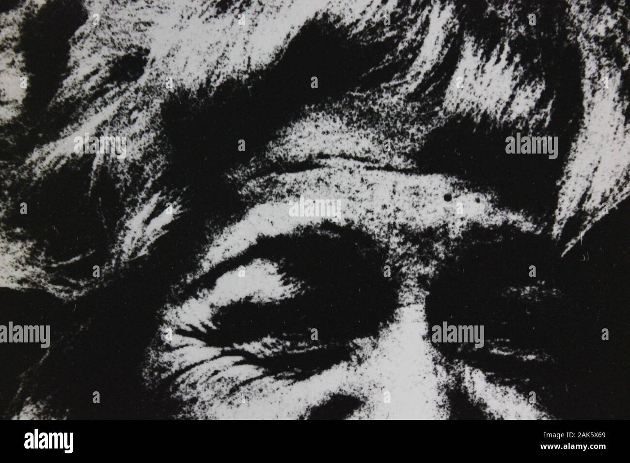 Belle photographie d'époque noir et blanc des années 1970 d'une heureuse dame âgée riant Banque D'Images