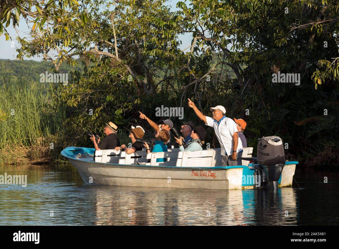 Le Mexique,Nayarit, San Blas, La Tovara National Park, de l'ornithologie, groupe de touristes dans un bateau des oiseaux dans une mangrove Banque D'Images