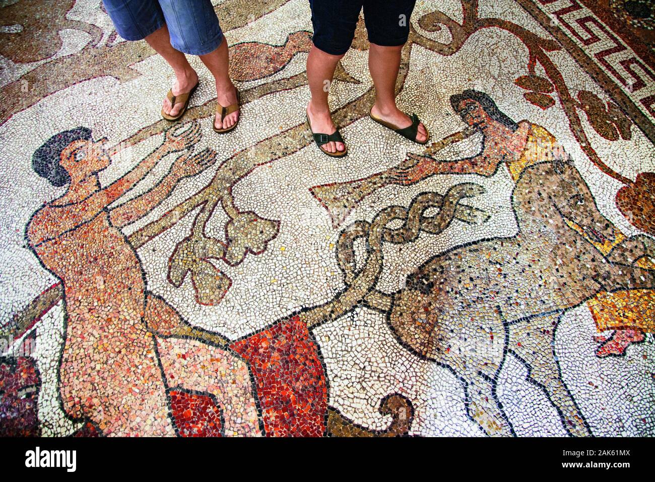 Otranto : Bodenmosaik des Pantaleon dans der Kathedrale S. Maria Annunziata, Ibiza | conditions dans le monde entier Banque D'Images