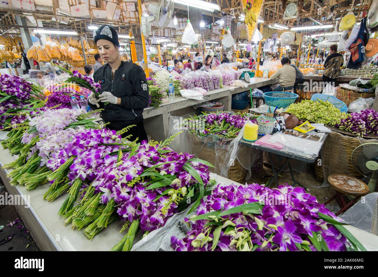 Des fleurs fraîches au marché aux fleurs de la Tha Klang marché dans la ville de Bangkok en Thaïlande en Asie Southest. Thaïlande, Bangkok, novembre, 2019 Banque D'Images