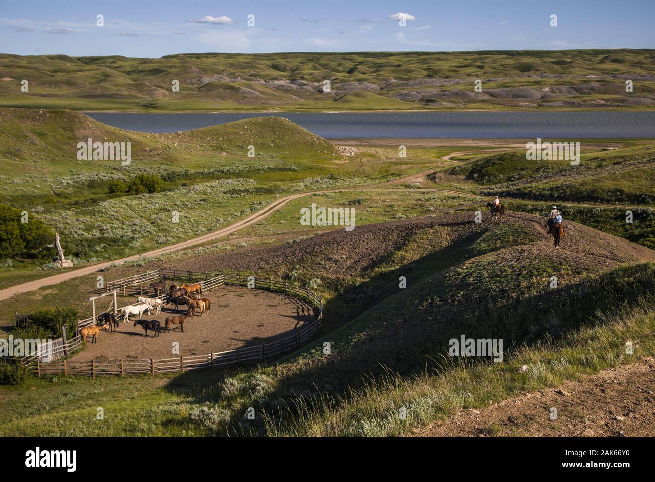 Saskatchewan : Kyle, 'La Reata Ranch' suis Saskatoon River, Ausritt durch die weite, Graslandschaft Kanada Westen | conditions dans le monde entier Banque D'Images