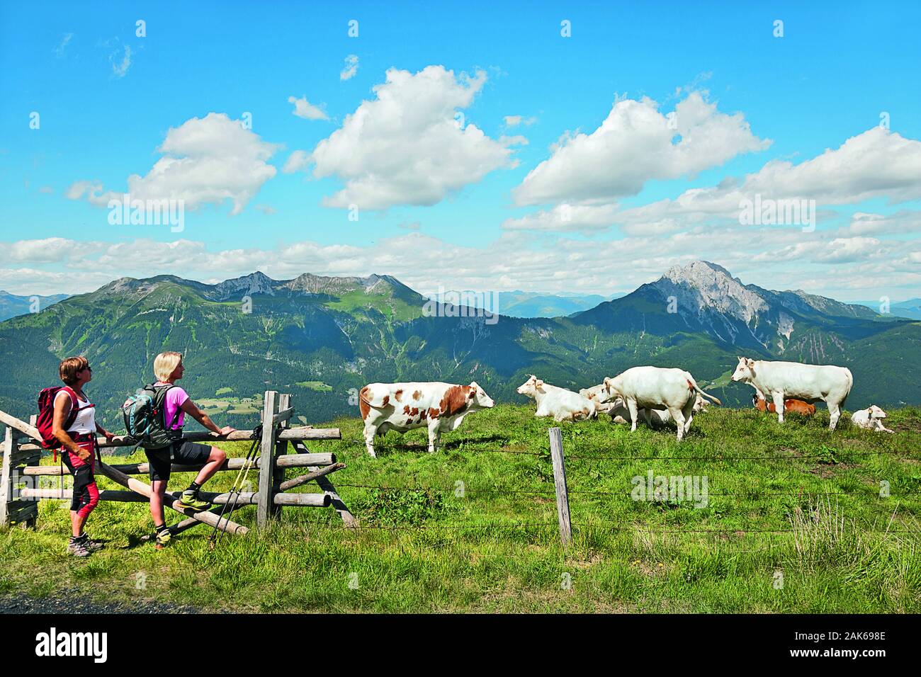 Sentier : Geo Gailtal Karnische Alpen, auf dem Weg zum Zollnersee von Dellach im Hintergrund, Torkofel Reisskofel und, Roma | conditions dans le monde entier Banque D'Images