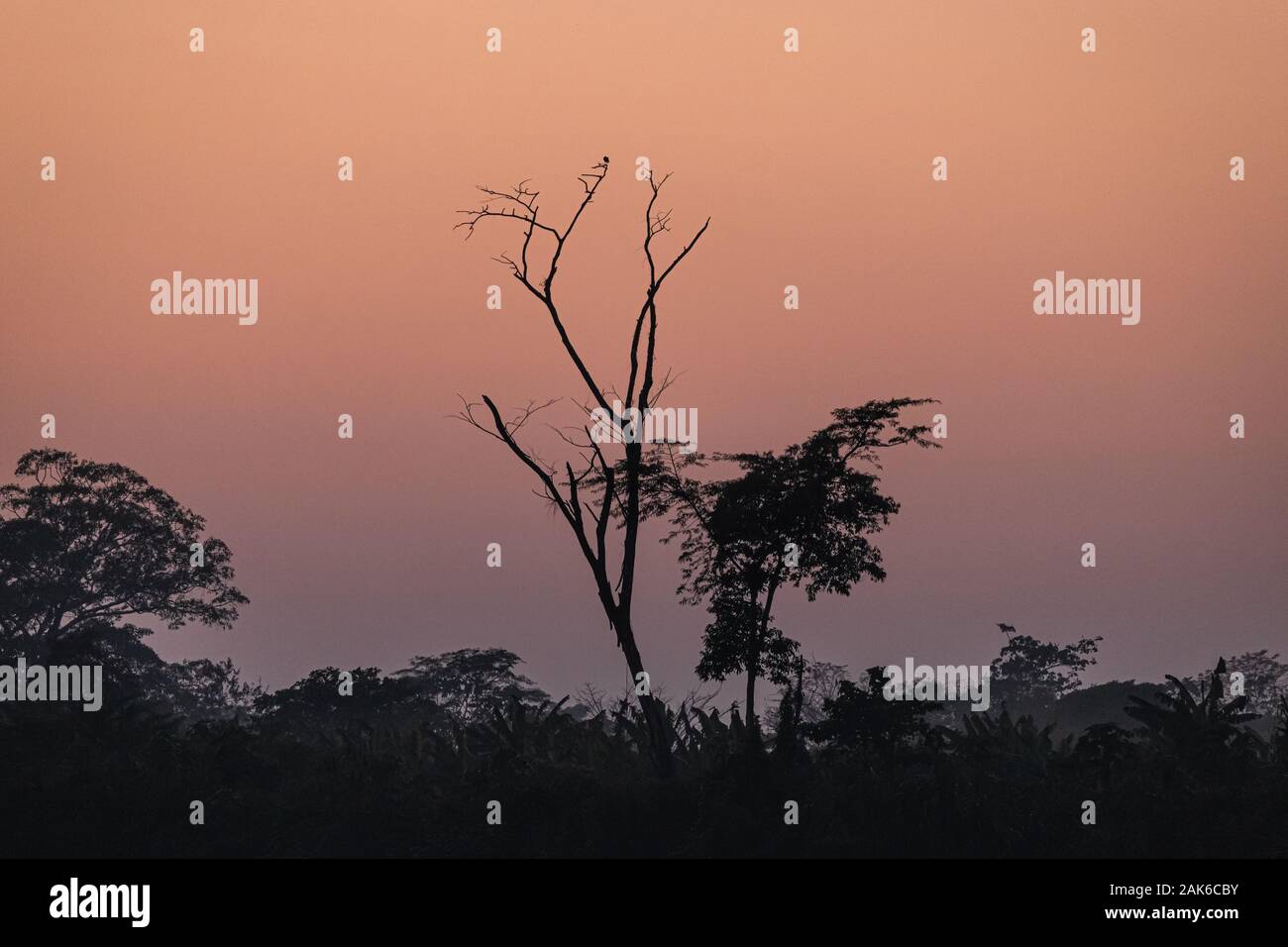 Magnifique lever de soleil rouge et orange au Rio Madre de Dios près de Puerto Maldonado dans le Parc National de Tambopata dans la région d'Amazonas (Pérou, Amérique du Sud) Banque D'Images