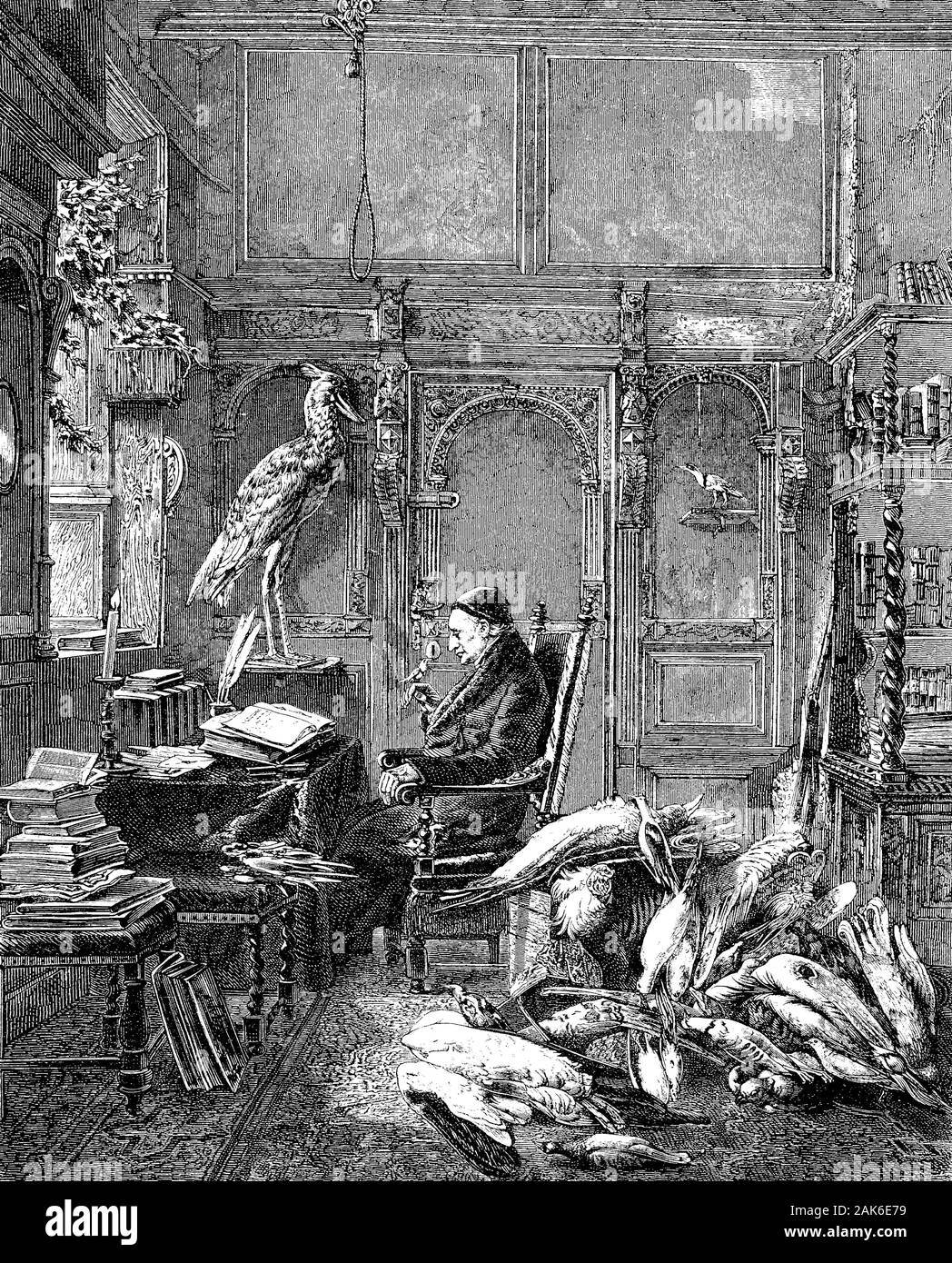 Alfred Edmund Brehm, 1829-1884, était un zoologiste allemand et auteur, gravure sur bois de 1864 Banque D'Images