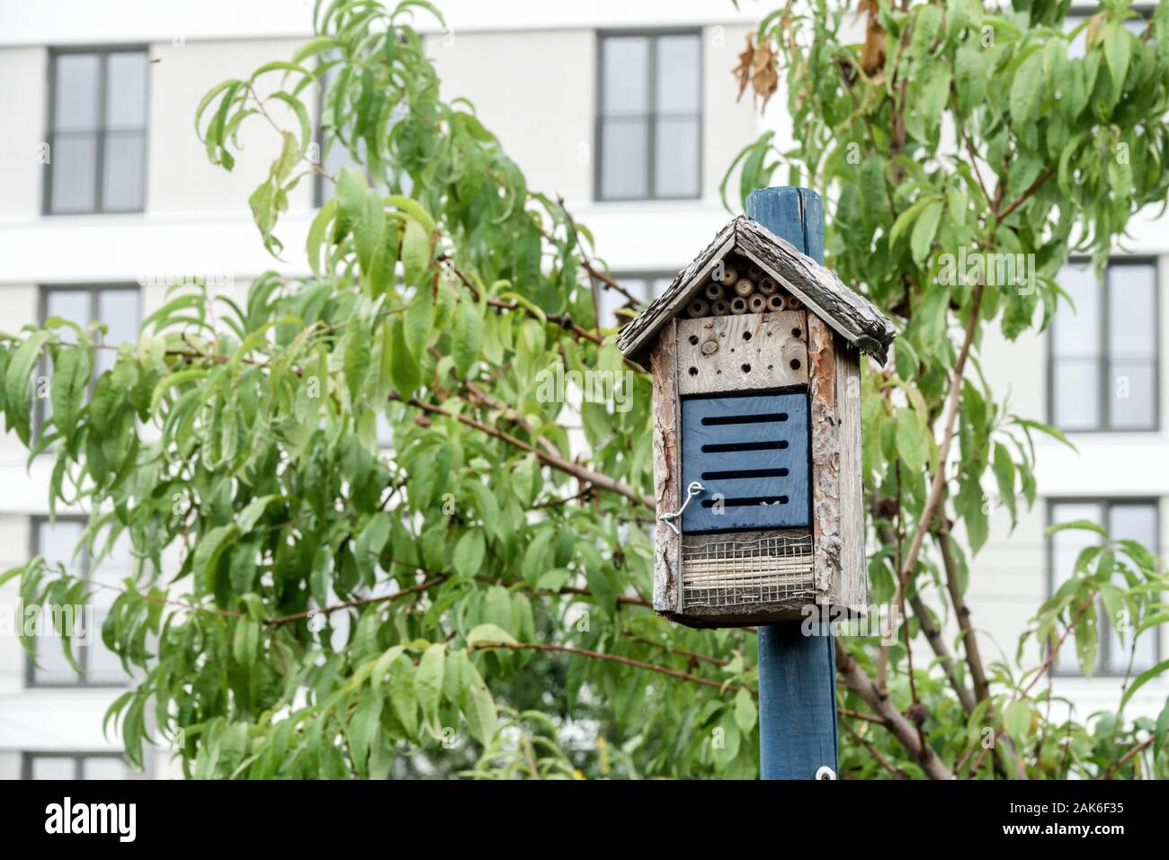 Hôtel d'insectes dans la ville jardin communauté jardin ville jardin urbain maison, hôtel d'insectes Banque D'Images