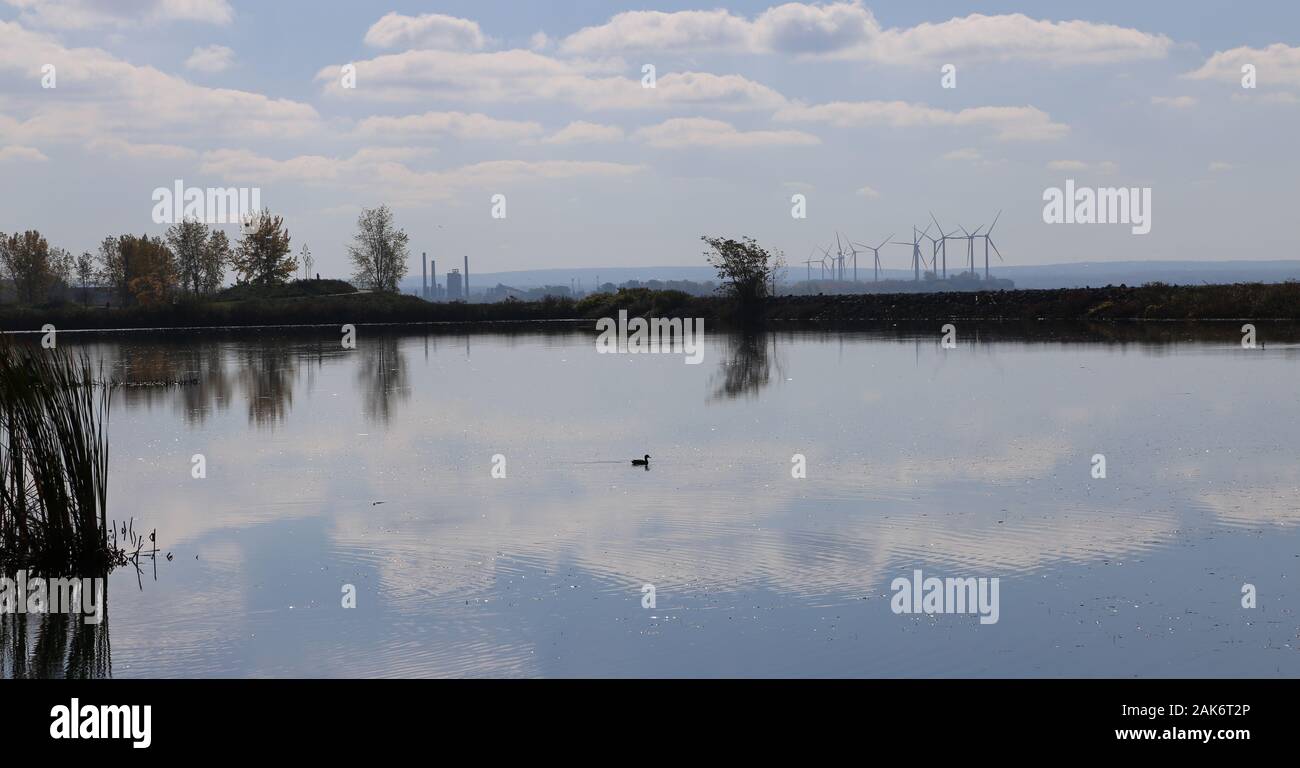 Il s'agit d'un étang à fois Plage Nature préserver à Buffalo, NY Banque D'Images