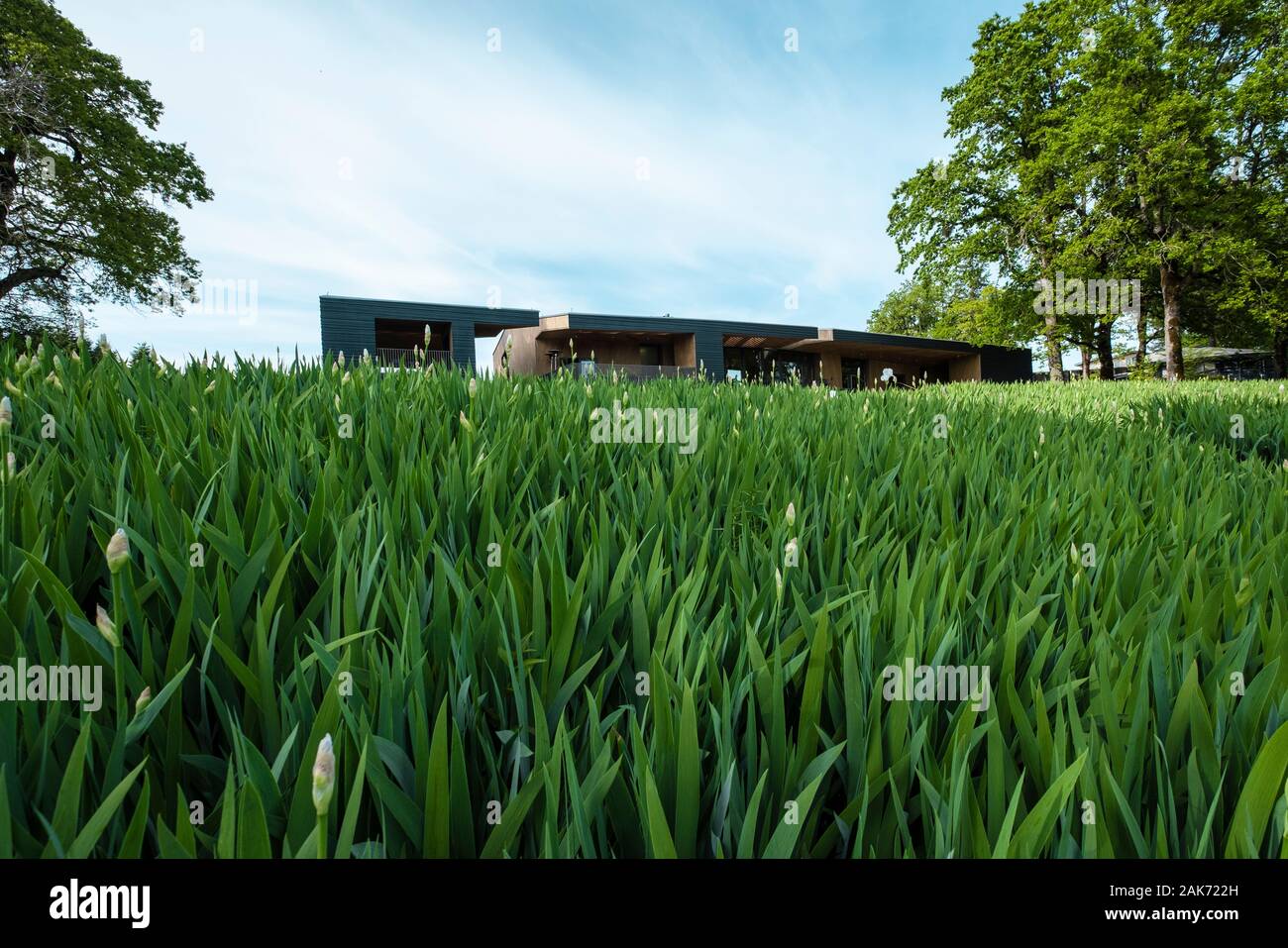 Sokol Blosser winery et salles de dégustation. Dayton. Oregon Banque D'Images