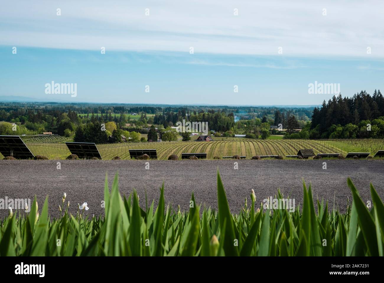 Sokol Blosser winery et salles de dégustation. Dayton. Oregon Banque D'Images